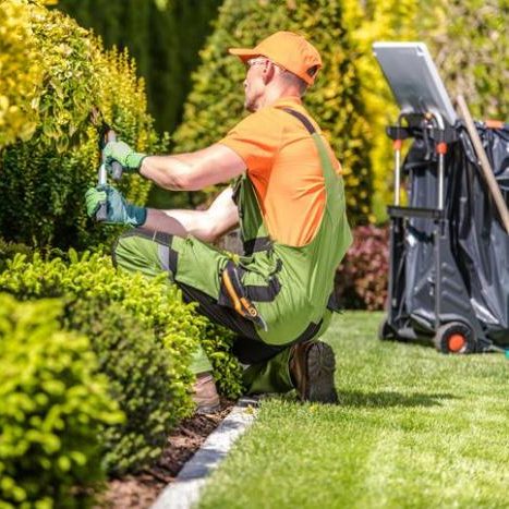 Jardinero profesional realizando mantenimiento de áreas verdes con poda y cuidado de plantas